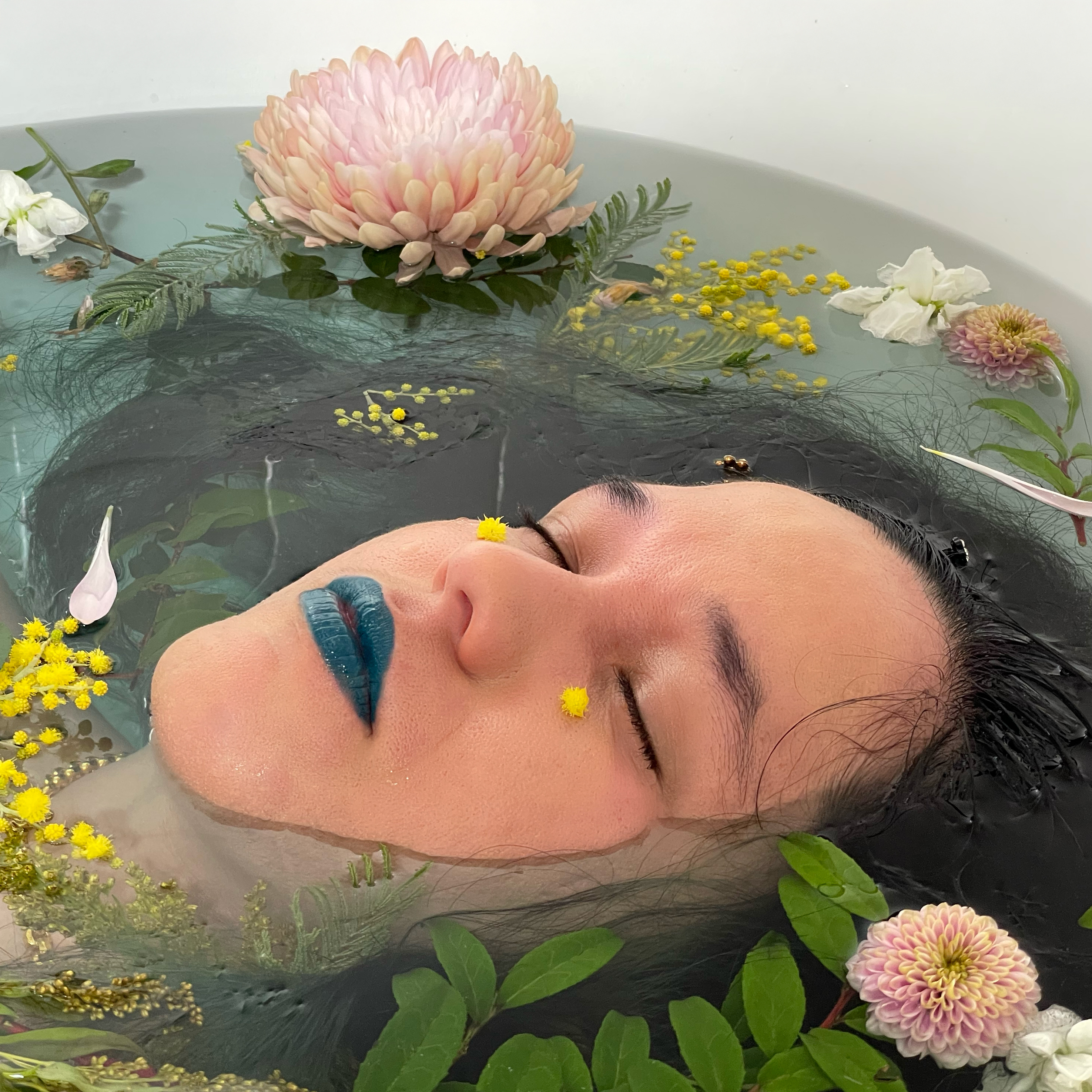 Mire & Meadow Album Cover